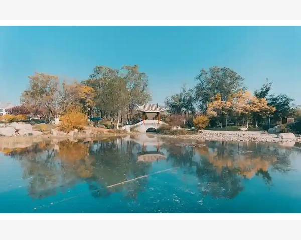 头发松弛，气血不足？关注你的健康，中医告诉你如何调理！